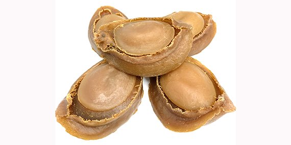 鲍鱼